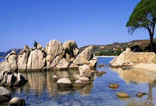 怀孕早期孕妇注意事项